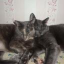 ольга гизатуллина