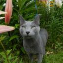 наталья Гаврилюк