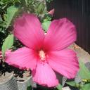 виктория фартушная-бондарь