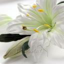 Лена Чиркова