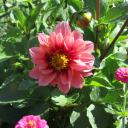 нина крамарь