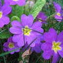 Ирина Ключникова