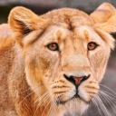 татьяна ардатьева