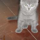 Надюша Миловидова