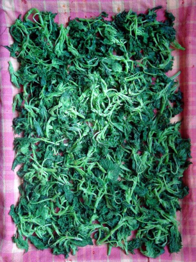 Булочки с крапивой - Шаг 9