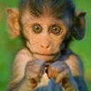 Ольга Петрова