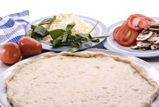 Тесто для пиццы