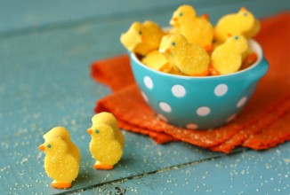 Птенцы из зефира