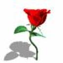 марина сушко