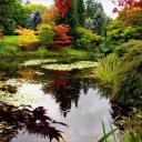 Галина Щербаносова