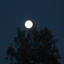 Светлана Васильева