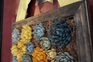 Композиция из фисташковой скорлупы