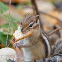 марина ломовцева