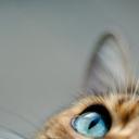 Ксения Коваленко