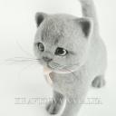 Ольга Апухтина