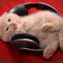 Дарья Щербакова