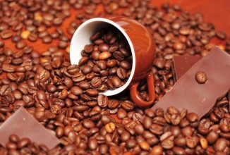 Кофе из помета слонов – самый дорогой в мире