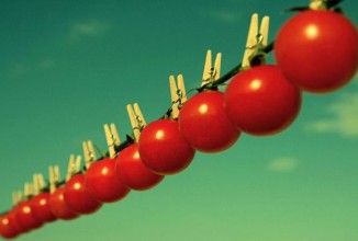 5 продуктов, которые вы не должны хранить в холодильнике