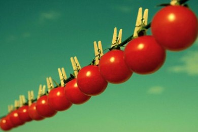 5 продуктов, которые вы не должны хранить в холодильнике