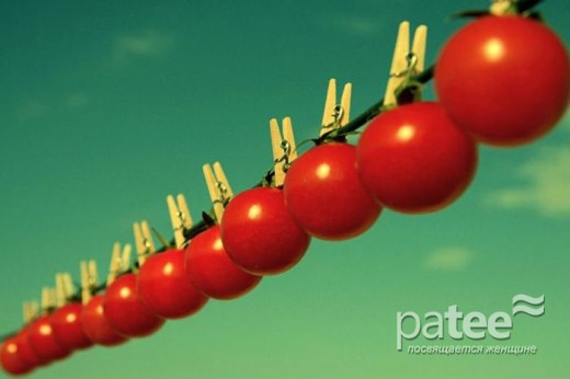 5 продуктов, которые вы не должны хранить в холодильнике