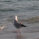 руслана байгильдеева