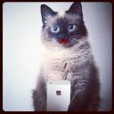 Евгения Рекуш