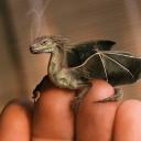 Елена Зеленя