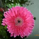 Елена Назарова