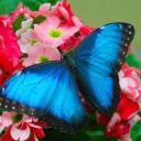 Екатерина Лысенко