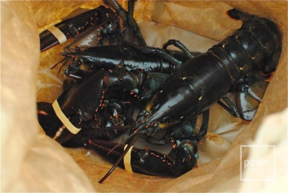 Омары с картофелем и кукурузой - Шаг 1