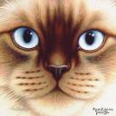 валентина валентина