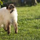 Влада Неганова