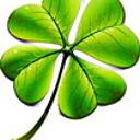 Елена Лукашевич