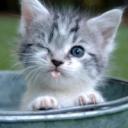 Светлана Зиганшина