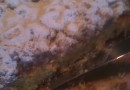 Пирог с посыпкой из муки, сливочного масла и сахара