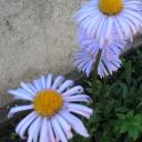 Ольга Тарасевич