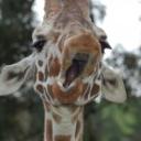 Алексей Силич