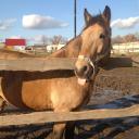 Альфия Сметанина