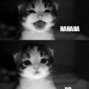 Татьяна Сачкова