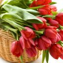 Анна Готовская