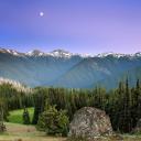 Наталия Яковлева