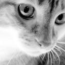 Евгения Воронина