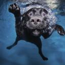 Анастасия Лёвкина