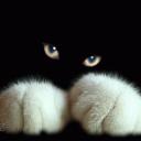 Елена Иванова