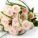 Татьяна Татьяна