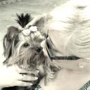 Руслана Гирина