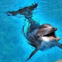 Татьяна Скорик