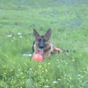 Полина Полина