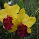 Наталья Ступникова