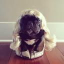 Юлия Лаврентьева